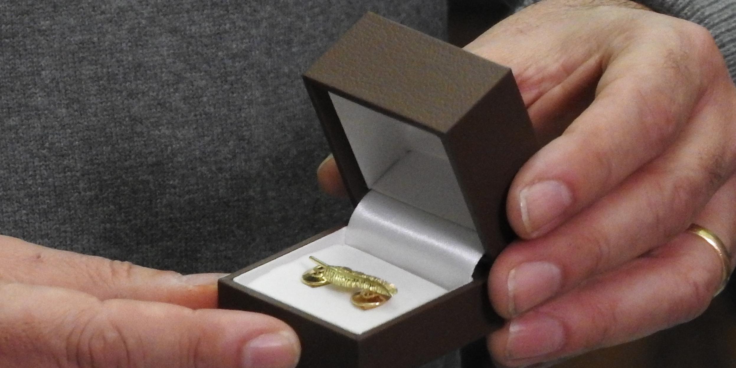 Ploma d’Or