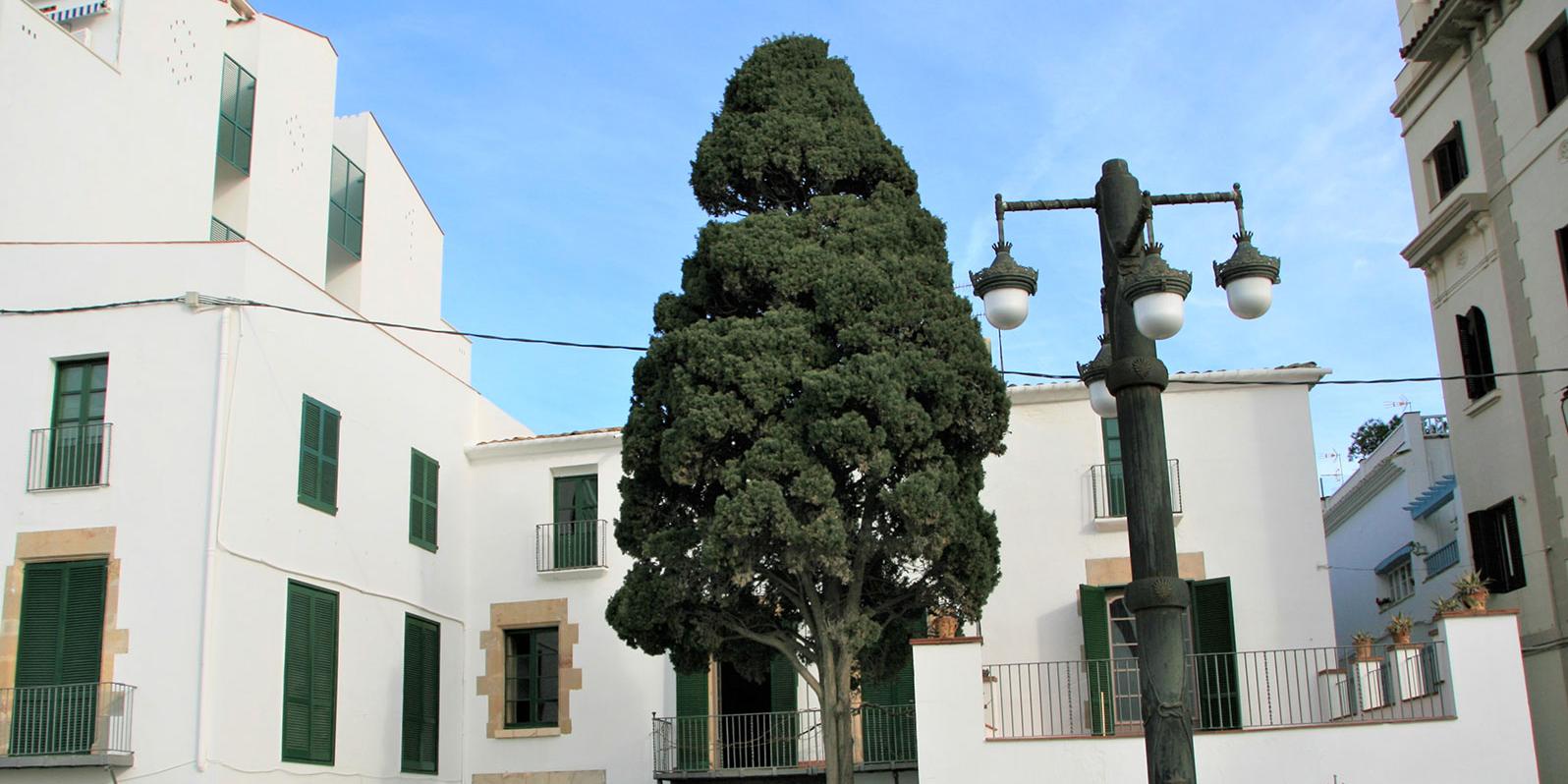 Edifici emblemàtic amb més de tres segles d’història