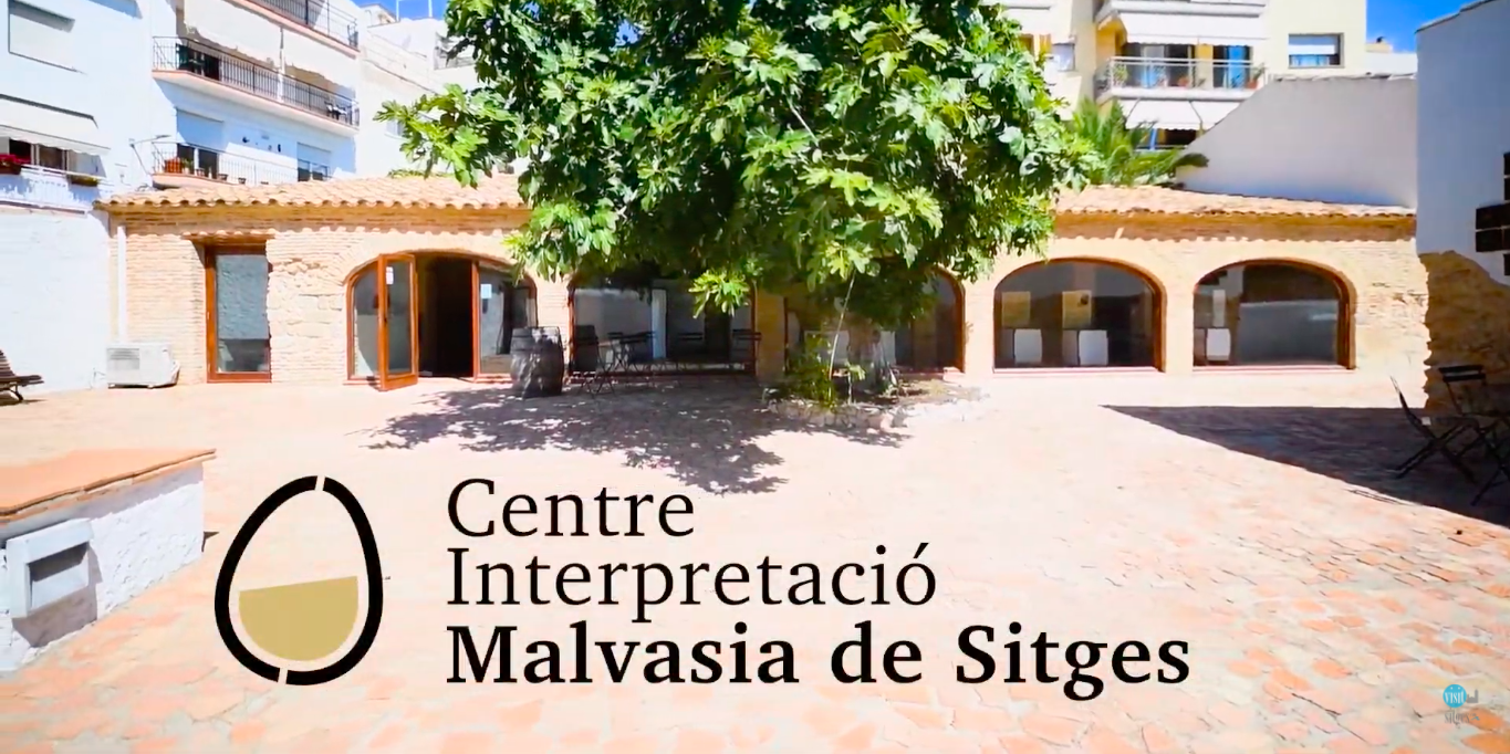 Visita el Centre d'Interpretació de la Malvasia