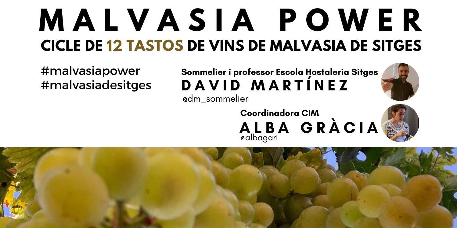El CIM programa 12 tastos de vins de Malvasia de Sitges per exposar el seu potencial