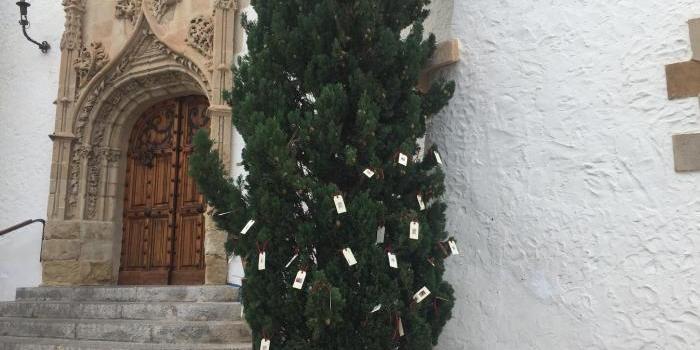 L’arbre del desitjos dels Museus de Sitges
