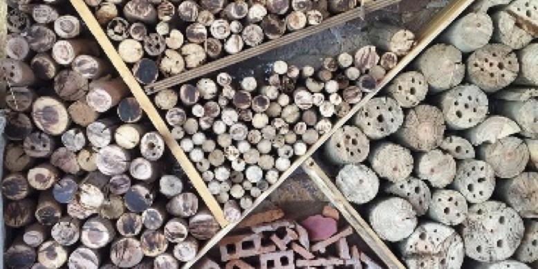 Bibliotaller " Fem un hotel d’insectes"