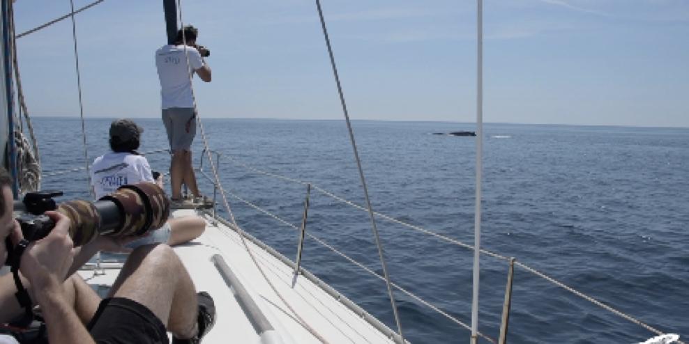 Xerrada “Explorant el blau: un viatge entre la fauna marina del Garraf”