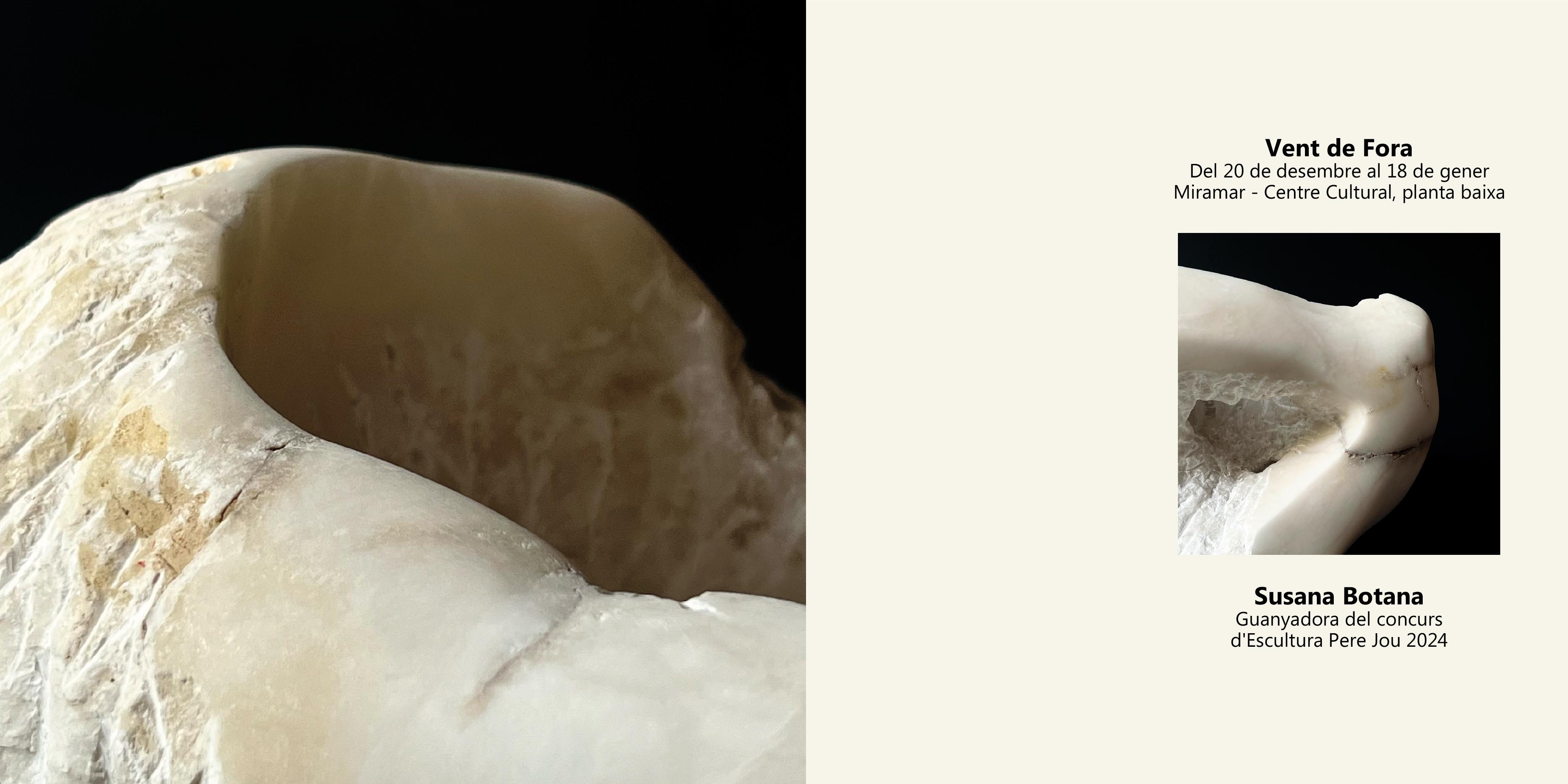 Inauguració de l'exposició 'Vent de fora' de Susana Botana