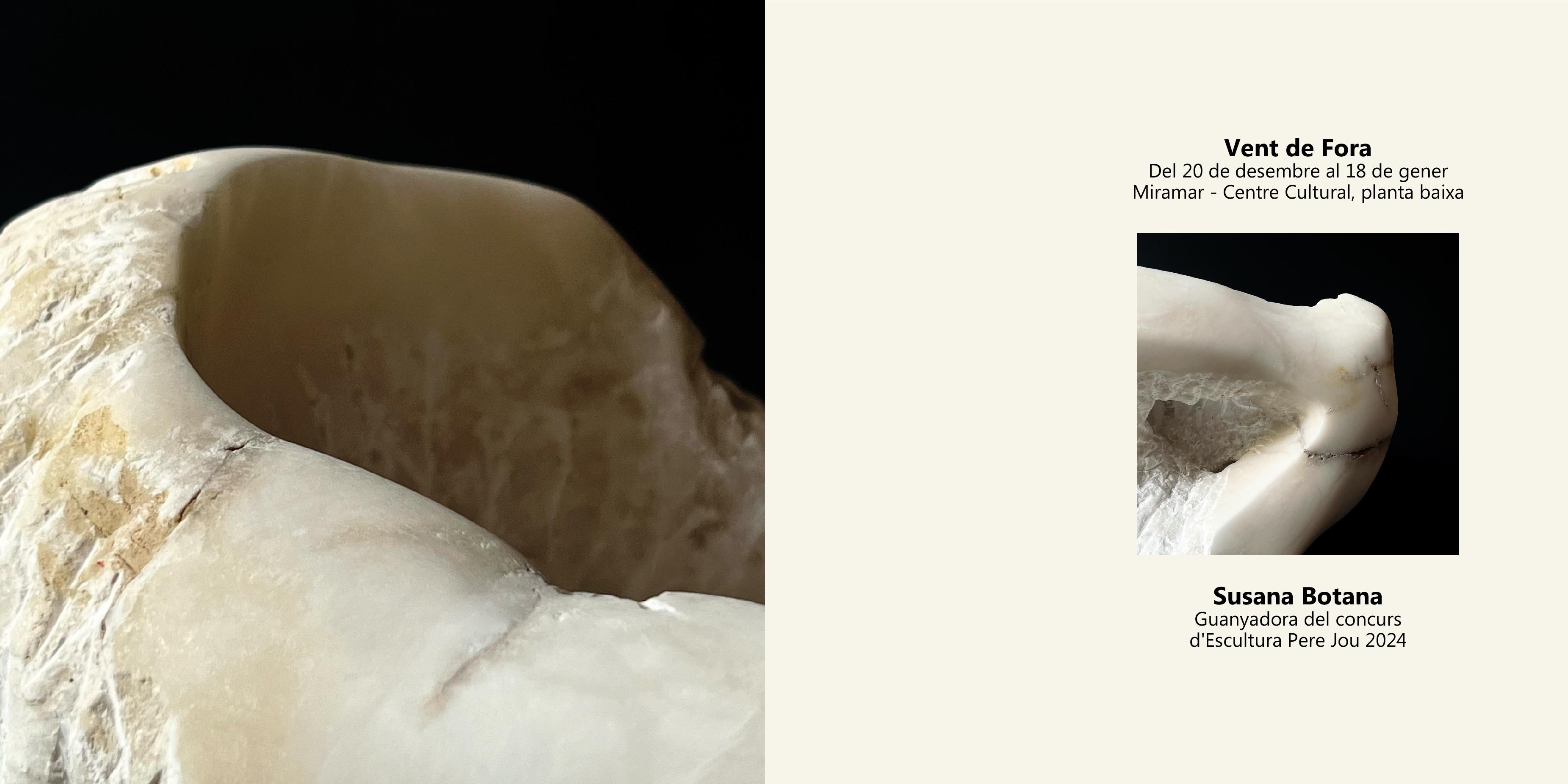 S’inaugura l’exposició de la guanyadora del Premi d’escultura Pere Jou 2024, Susana Botana