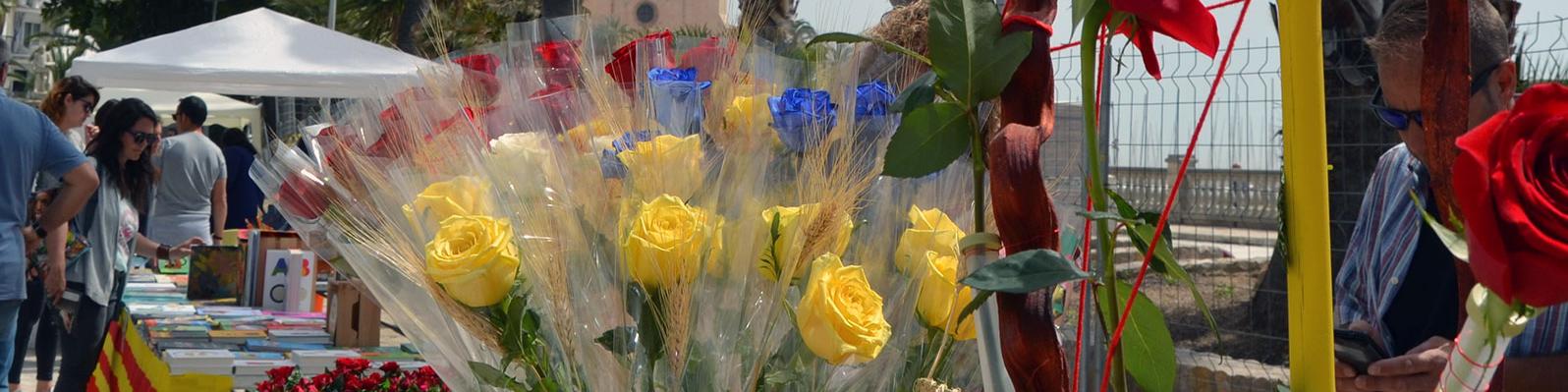 Sant Jordi: llibres, roses i el mar de fons