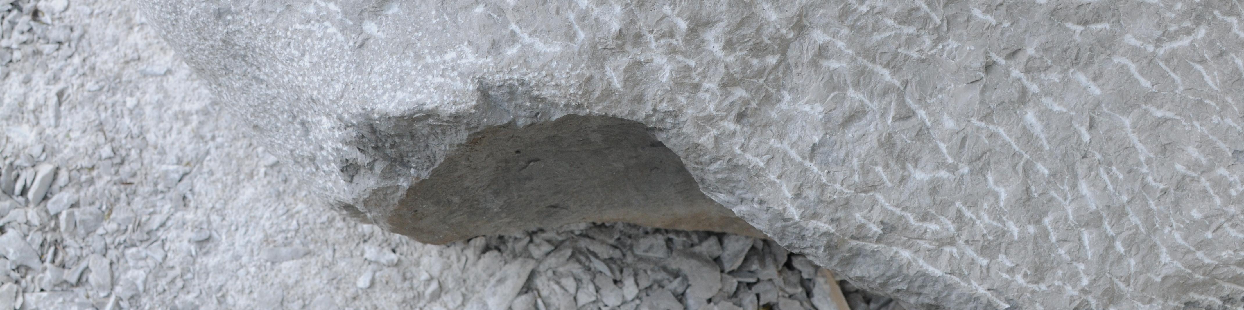 Vent de fora de Susana Botana