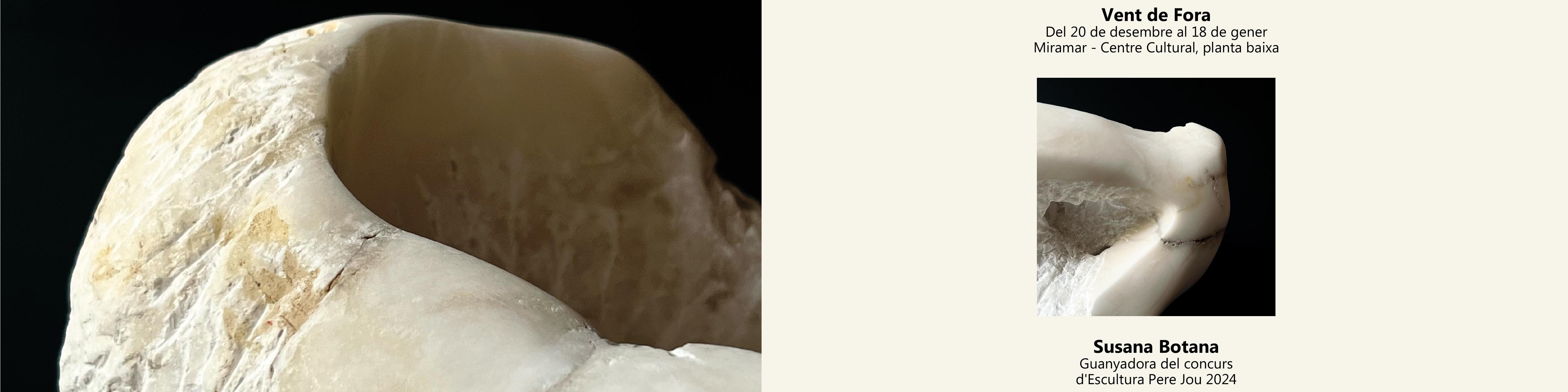 Inauguració de l'exposició 'Vent de fora' de Susana Botana