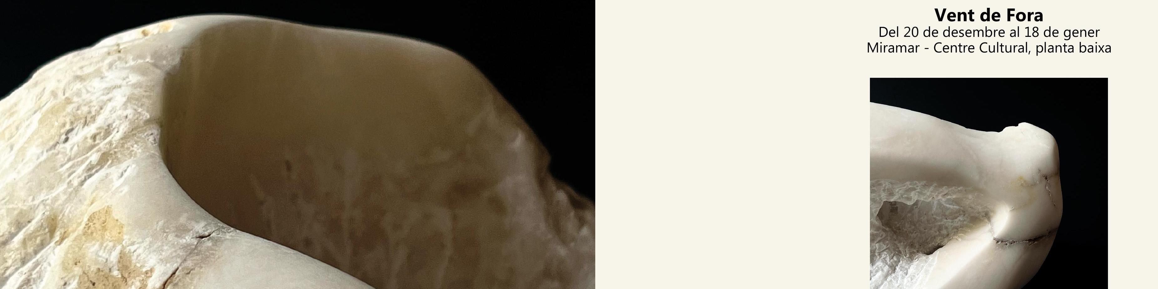 Inauguració de l'exposició 'Vent de fora' de Susana Botana