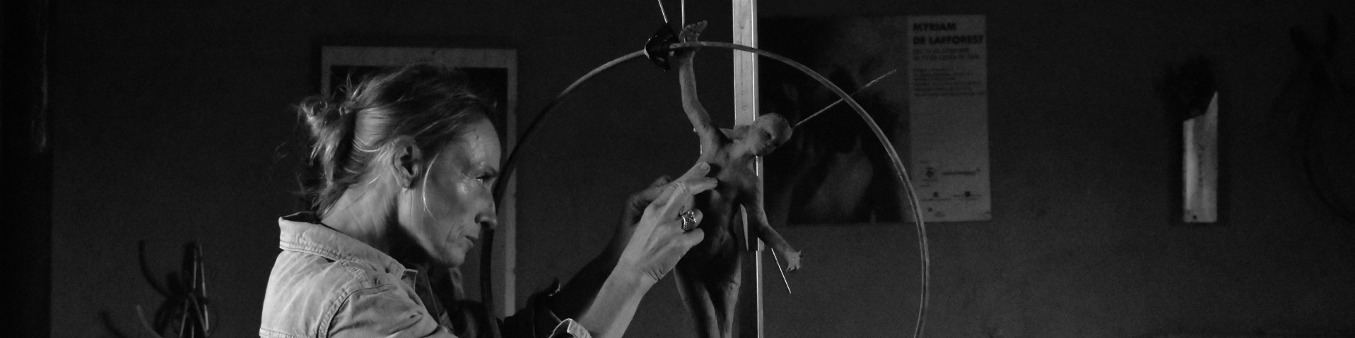 Transmisión - Esculturas compartidas, de Myriam De Lafforest